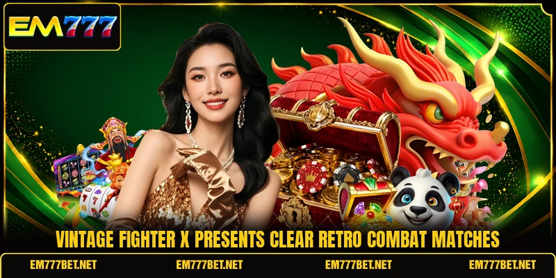 Vintage Fighter X presents clear retro combat matches